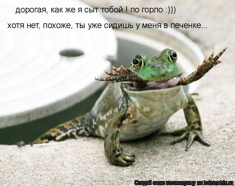Котоматрица: дорогая, как же я сыт тобой ! по горло :))) хотя нет, похоже, ты уже сидишь у меня в печенке...