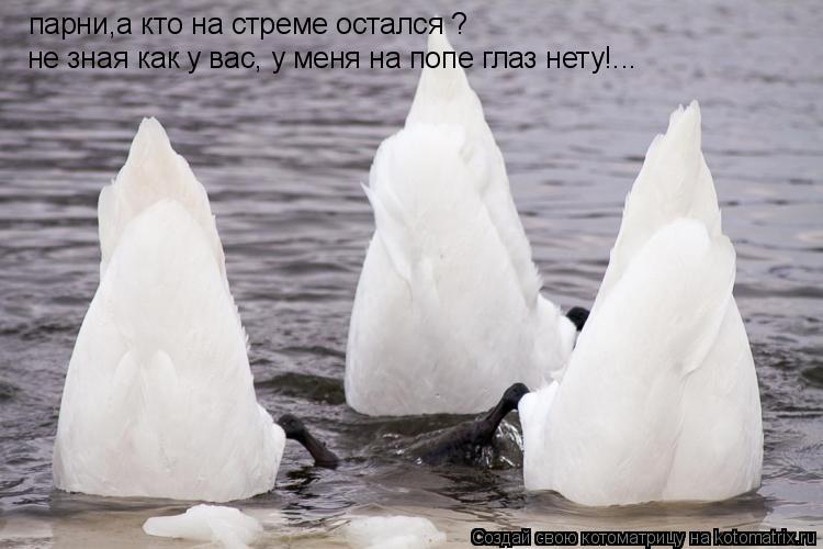 Котоматрица: парни,а кто на стреме остался ? не зная как у вас, у меня на попе глаз нету!...