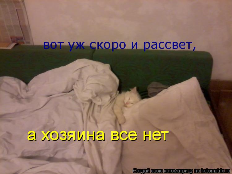Котоматрица: вот уж скоро и рассвет, а хозяина все нет а хозяина все нет