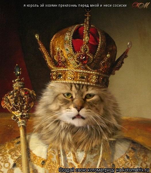 я король эй хозяин преклониь перед мной и неси сосиски... Котоматрица: я король эй хозяин преклониь перед мной и неси сосиски