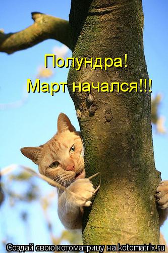 Котоматрица: Полундра!  Март начался!!!