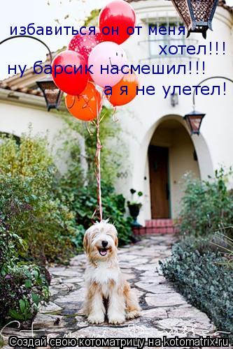 Котоматрица: хотел!!! ну барсик насмешил!!! а я не улетел!  избавиться он от меня