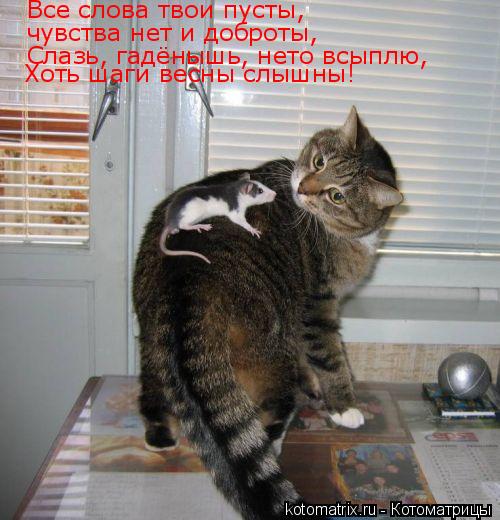 Котоматрица: Все слова твои пусты,  чувства нет и доброты, Слазь, гадёнышь, нето всыплю,  Хоть шаги весны слышны!