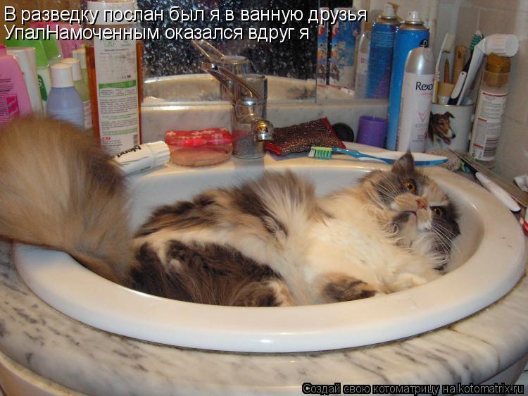 Котоматрица: В разведку послан был я в ванную друзья УпалНамоченным оказался вдруг я
