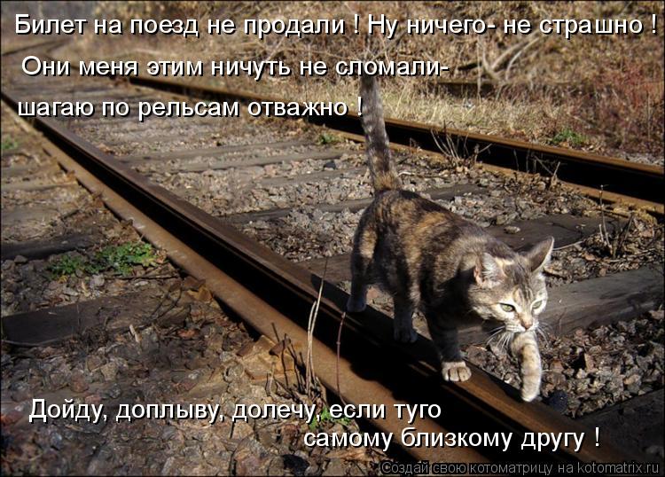 Котоматрица: Дойду, доплыву, долечу, если туго Они меня этим ничуть не сломали-  Билет на поезд не продали ! Ну ничего- не страшно ! самому близкому другу ! ш