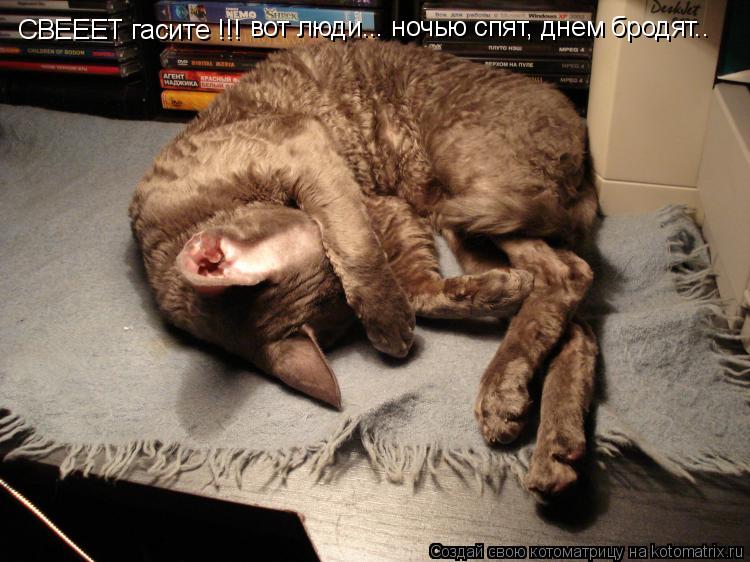 Котоматрица: СВЕЕЕТ гасите !!! вот люди... ночью спят, днем бродят..