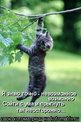 Котоматрица: Я знаю точно – невозможное  возможно  Сойти с ума и прыгнуть  так неосторожно... -