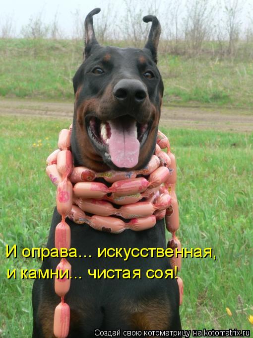 И оправа... искусственная, и камни... чистая соя!... Котоматрица: И оправа... искусственная, и камни... чистая соя!