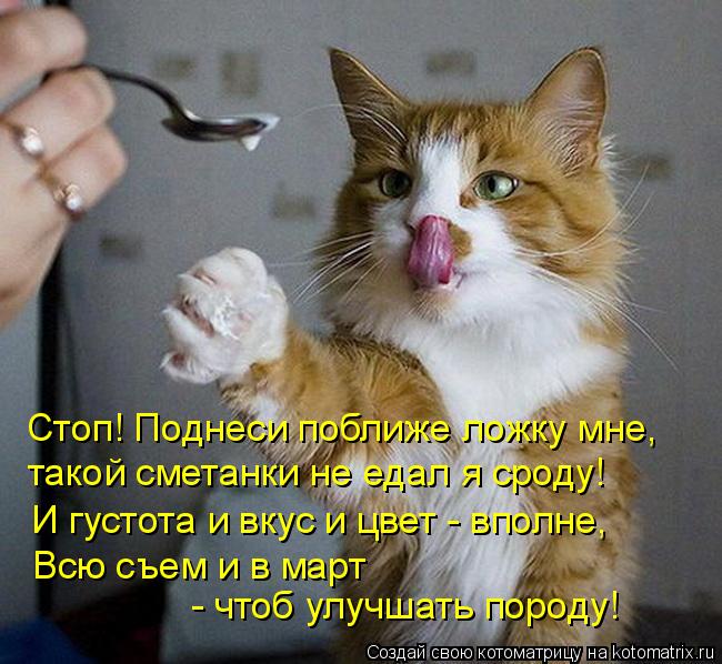 Стоп! Поднеси поближе ложку мне, такой сметанки не едал я сроду! И густота и вкус и цвет - вполне, ... Котоматрица: Стоп! Поднеси поближе ложку мне, такой сметанки не едал я сроду! И густота и вкус и цвет - вполне, Всю съем и в март - чтоб улучшать породу!
