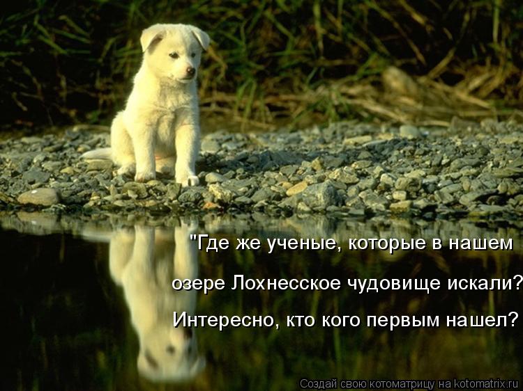 озере Лохнесское чудовище искали? Интересно, кто кого первым нашел? "Где же ученые, которые в нашем... Котоматрица: озере Лохнесское чудовище искали? Интересно, кто кого первым нашел? "Где же ученые, которые в нашем