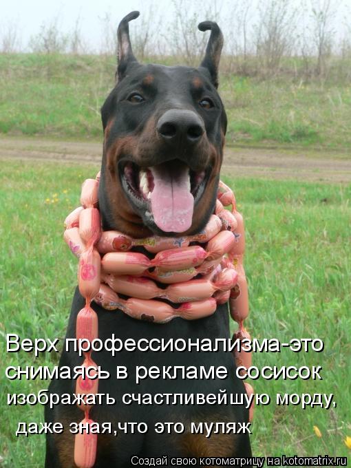 Котоматрица: даже зная,что это муляж Верх профессионализма-это снимаясь в рекламе сосисок изображать счастливейшую морду,