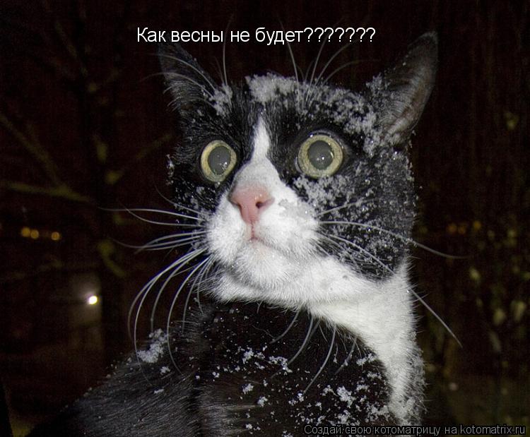 Котоматрица: Как весны не будет???????