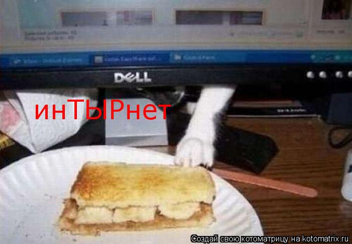 Котоматрица: инТЫРнет