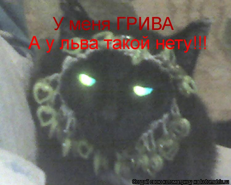 Котоматрица: У меня ГРИВА А у льва такой нету!!!
