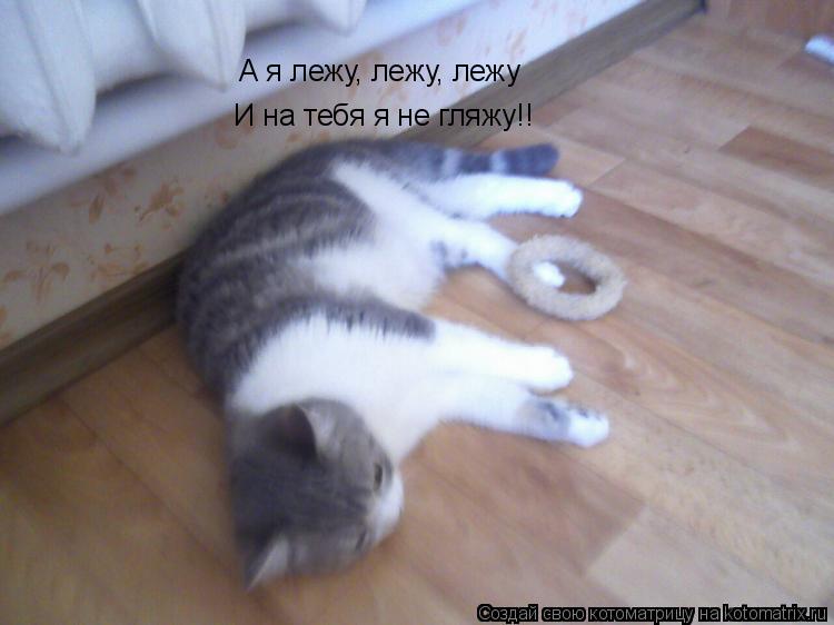 Котоматрица: А я лежу, лежу, лежу И на тебя я не гляжу!!
