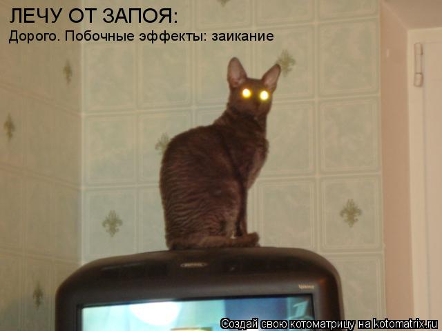 Котоматрица: ЛЕЧУ ОТ ЗАПОЯ: Дорого. Побочные эффекты: заикание