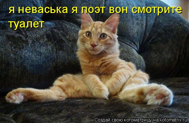 Котоматрица: я неваська я поэт вон смотрите туалет