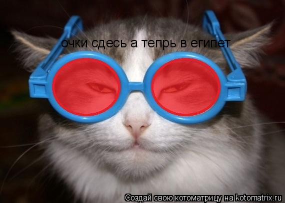Котоматрица: очки сдесь а тепрь в египет