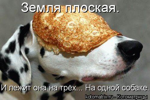 Котоматрица: Земля плоская.  И лежит она на трёх... На одной собаке.