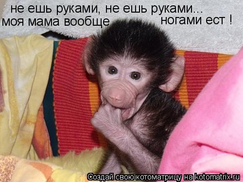 не ешь руками, не ешь руками... ногами ест ! моя мама вообще... Котоматрица: не ешь руками, не ешь руками... ногами ест ! моя мама вообще
