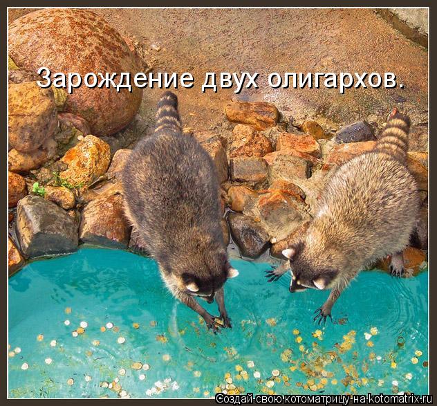 Зарождение двух олигархов.... Котоматрица: Зарождение двух олигархов.