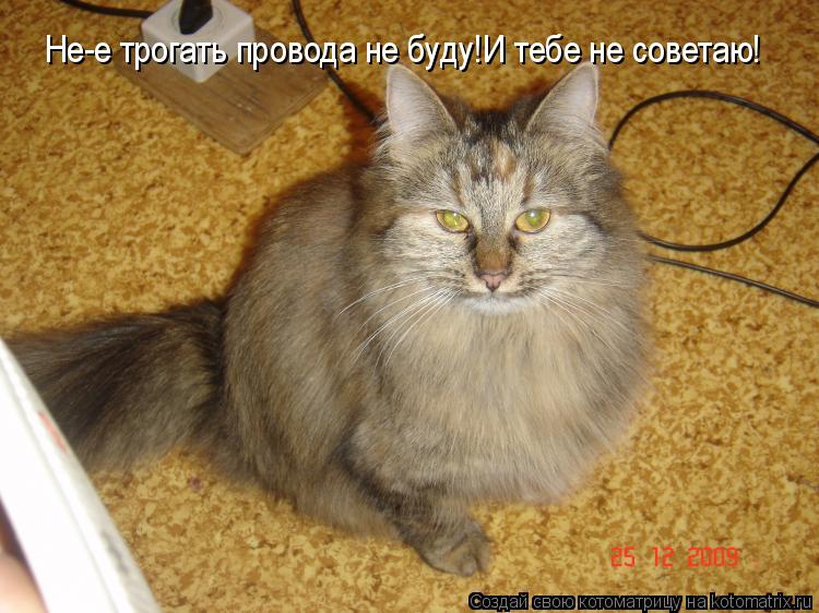 Не-е трогать провода не буду!И тебе не советаю Не-е трогать провода не буду!И тебе не советаю!... Котоматрица: Не-е трогать провода не буду!И тебе не советаю Не-е трогать провода не буду!И тебе не советаю!
