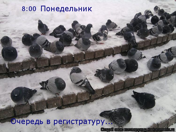 8:00 Понедельник Очередь в регистратуру...... Котоматрица: 8:00 Понедельник Очередь в регистратуру...