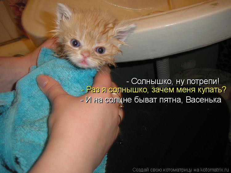 - Солнышко, ну потрепи! - Раз я солнышко, зачем меня купать? - И на солцне быват пятна, Васенька... Котоматрица: - Солнышко, ну потрепи! - Раз я солнышко, зачем меня купать? - И на солцне быват пятна, Васенька