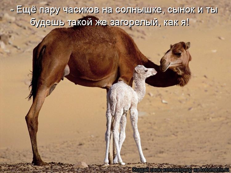 - Ещё пару часиков на солнышке, сынок и ты будешь такой же загорелый, как я!... Котоматрица: - Ещё пару часиков на солнышке, сынок и ты будешь такой же загорелый, как я!