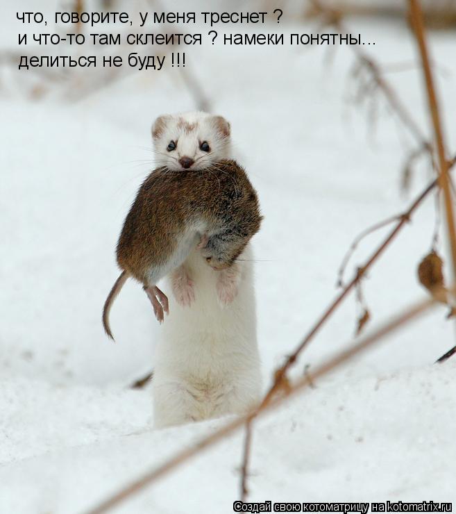 что, говорите, у меня треснет ? и что-то там склеится ? намеки понятны... делиться не буду !!!... Котоматрица: что, говорите, у меня треснет ? и что-то там склеится ? намеки понятны... делиться не буду !!!