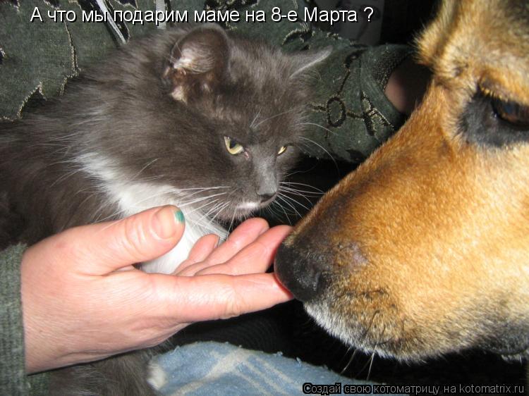 А что мы подарим маме на 8-е Марта ?... Котоматрица: А что мы подарим маме на 8-е Марта ?