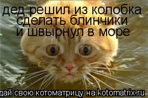 дед решил из колобка сделать блинчики и швырнул в море... Котоматрица: дед решил из колобка сделать блинчики и швырнул в море