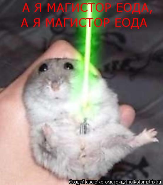 А Я МАГИСТОР ЕОДА, А Я МАГИСТОР ЕОДА... Котоматрица: А Я МАГИСТОР ЕОДА, А Я МАГИСТОР ЕОДА