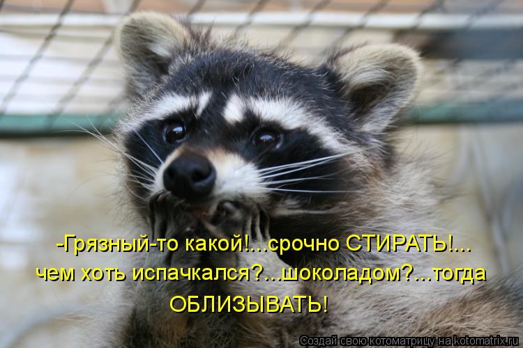 чем хоть испачкался?...шоколадом?...тогда ОБЛИЗЫВАТЬ! -Грязный-то какой!...срочно СТИРАТЬ!...... Котоматрица: чем хоть испачкался?...шоколадом?...тогда ОБЛИЗЫВАТЬ! -Грязный-то какой!...срочно СТИРАТЬ!...