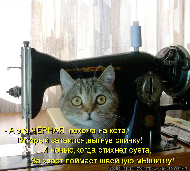 Который затаился,выгнув спинку! И ночью,когда стихнет суета, За хвост поймает швейную мЫшинку! - А эт... Котоматрица: Который затаился,выгнув спинку! И ночью,когда стихнет суета, За хвост поймает швейную мЫшинку! - А эта,ЧЕРНАЯ, похожа на кота, ..
