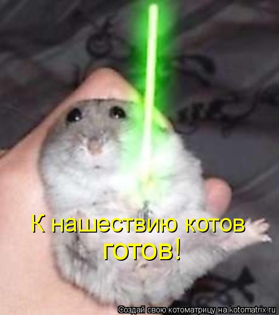 К нашествию котов готов!... Котоматрица: К нашествию котов готов!