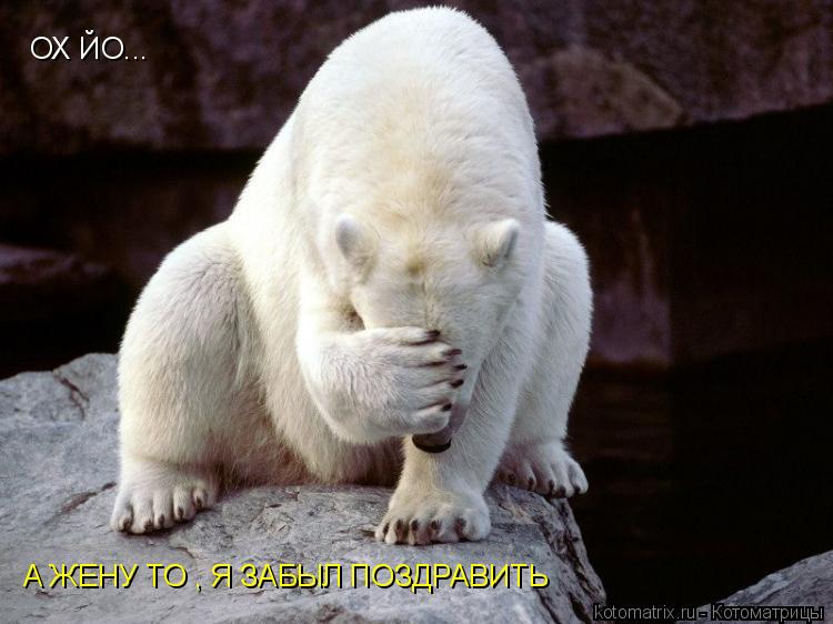 ОХ ЙО... А ЖЕНУ ТО , Я ЗАБЫЛ ПОЗДРАВИТЬ... Котоматрица: ОХ ЙО... А ЖЕНУ ТО , Я ЗАБЫЛ ПОЗДРАВИТЬ