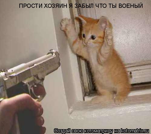 ПРОСТИ ХОЗЯИН Я ЗАБЫЛ ЧТО ТЫ ВОЕНЫЙ... Котоматрица: ПРОСТИ ХОЗЯИН Я ЗАБЫЛ ЧТО ТЫ ВОЕНЫЙ