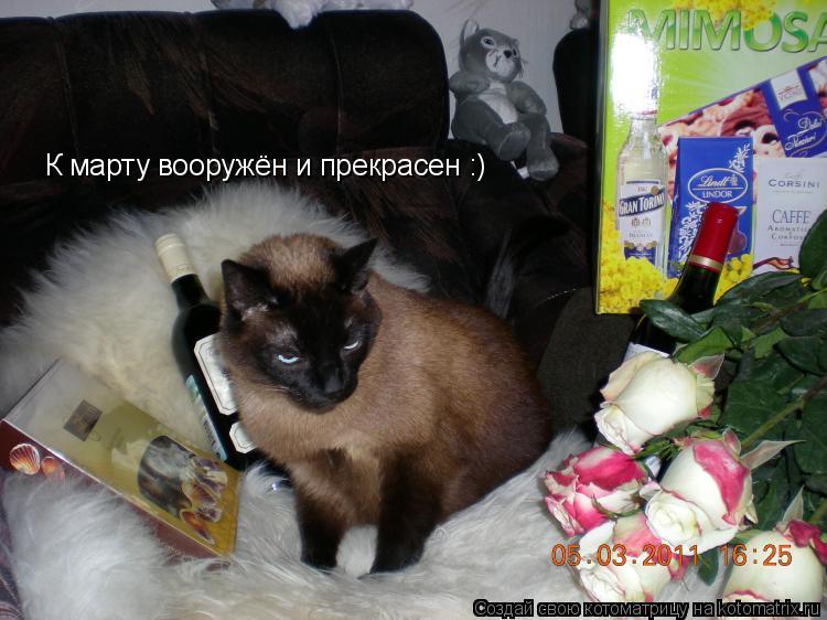 К марту вооружён и прекрасен :)... Котоматрица: К марту вооружён и прекрасен :)