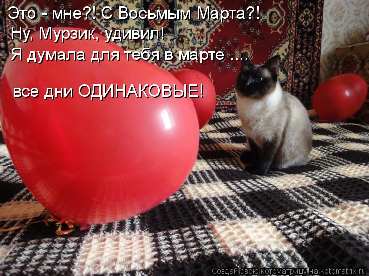 Котоматрица: Это - мне?! С Восьмым Марта?! Ну, Мурзик, удивил! Я думала для тебя в марте .... все дни ОДИНАКОВЫЕ!