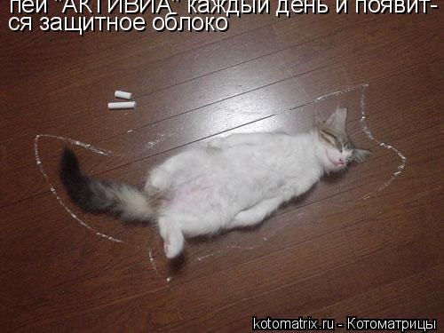 Котоматрица: пей "АКТИВИА" каждый день и появит- ся защитное облоко