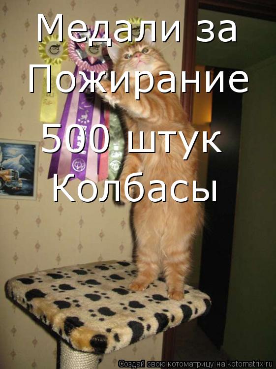 Котоматрица: Медали за Пожирание  500 штук  Колбасы