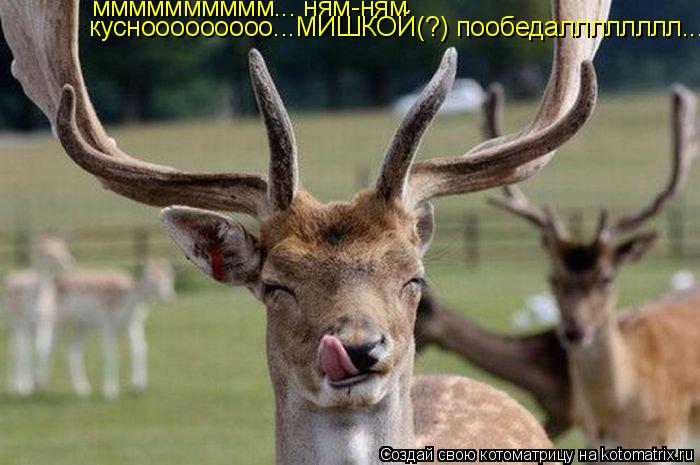 Котоматрица: мммммммммм... ням-ням куснооооооооо...МИШКОЙ(?) пообедалллллллл...