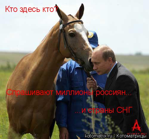 Котоматрица: Кто здесь кто?  Спрашивают миллионы россиян... ...и страны СНГ