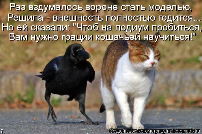 Раз вздумалось вороне стать моделью, Решила - внешность полностью годится... Но ей сказали: "Чтоб на ... Котоматрица: Раз вздумалось вороне стать моделью, Решила - внешность полностью годится... Но ей сказали: "Чтоб на подиум пробиться, Вам нужно грации кошач