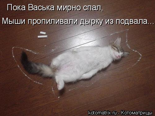 Пока Васька мирно спал, Мыши пропиливали дырку из подвала...... Котоматрица: Пока Васька мирно спал, Мыши пропиливали дырку из подвала...