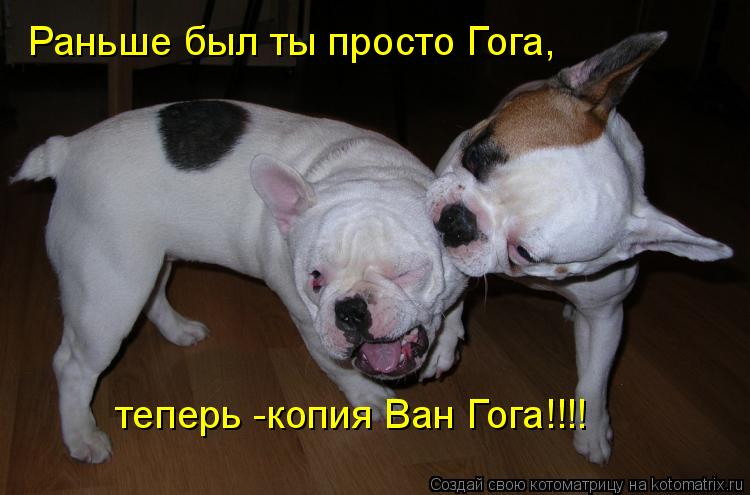 Раньше был ты просто Гога, теперь -копия Ван Гога!!!!... Котоматрица: Раньше был ты просто Гога, теперь -копия Ван Гога!!!!