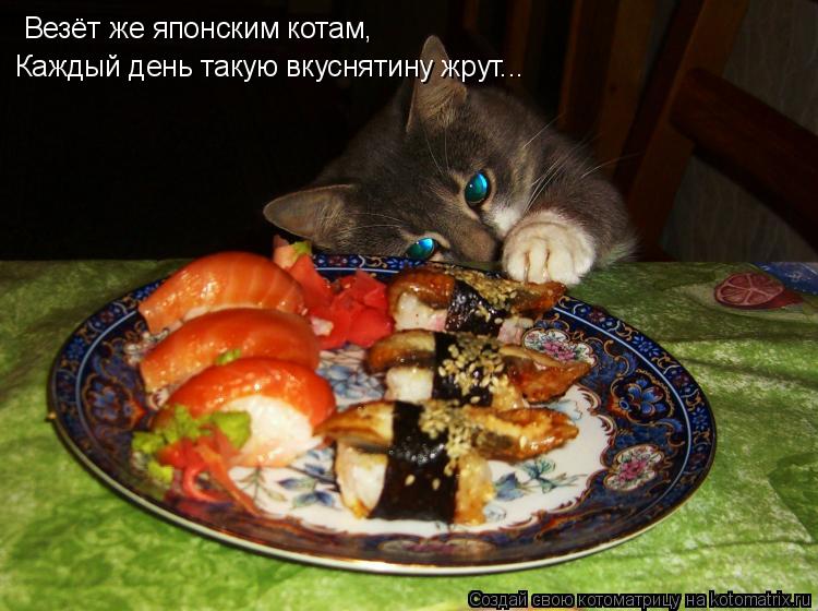Котоматрица: Каждый день такую вкуснятину жрут... Везёт же японским котам,