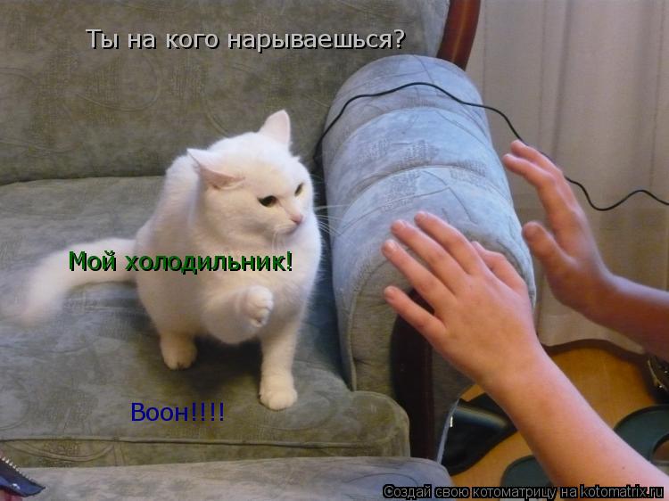 Котоматрица: Ты на кого нарываешься? Мой холодильник! Воон!!!!