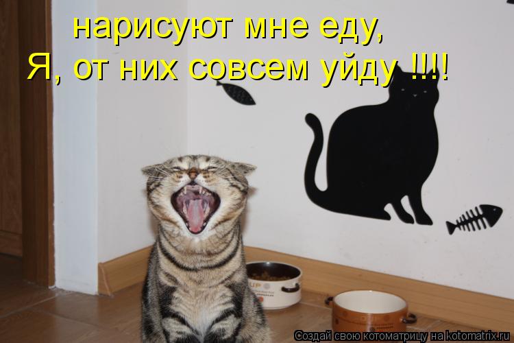 нарисуют мне еду, Я, от них совсем уйду !!!!... Котоматрица: нарисуют мне еду, Я, от них совсем уйду !!!!
